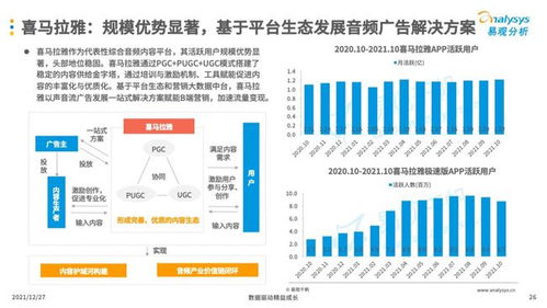 互聯網廣告營銷 數字化時代的企業必備技能與銷售引擎